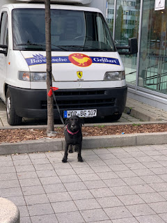 [뮌헨일기] 서머스비, 김재나들이, 무지카레, 그릴파티, 디제이잉 10