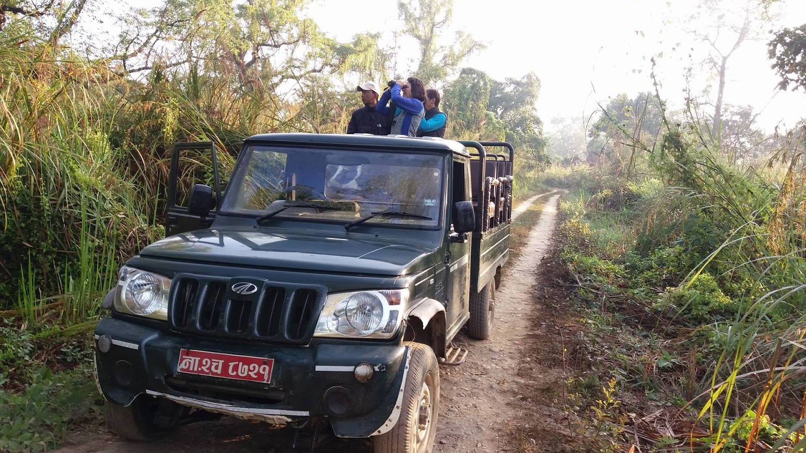 jeep safari sauraha