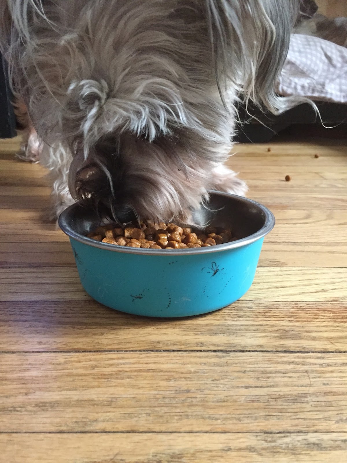 American journey salmon oil review Clearance