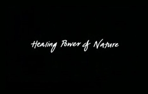 Healing Power Of Nature