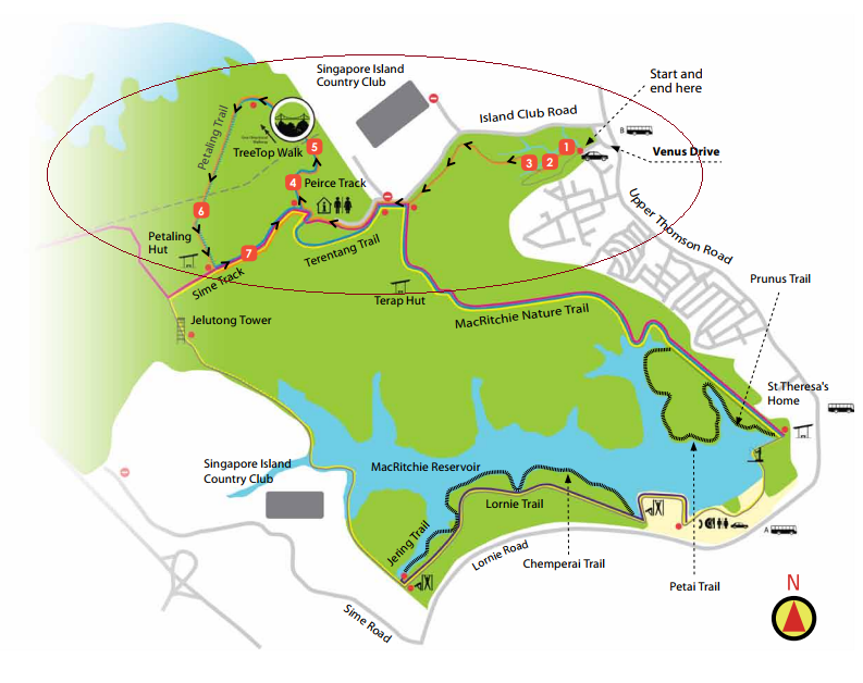 Tree Tops Park Map The Wandering Cinderella: Macritchie Tree Top Walk