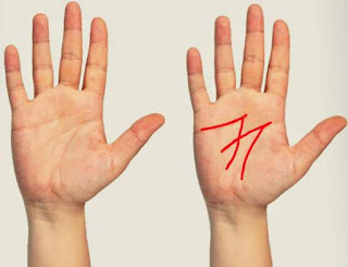 आपकी हथेलियों में बना हो   एम तो आप में हैं ये                   खासगुण! श्रम वीर भारत न्यूज़/एस्ट्रोलोजी वास्तु टिप्स टुडे