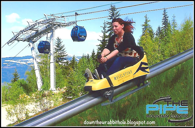 The Pipe Mountain Roller Coaster in Revelstoke, B.C. is an exhilarating ride. Down the Wrabbit Hole Travel Blog tells you what to expect and how to plan for your visit.