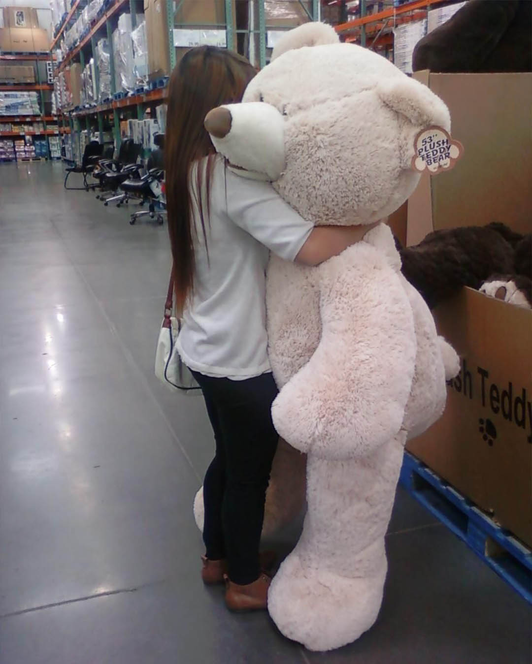 oso de peluche gigante tumblr