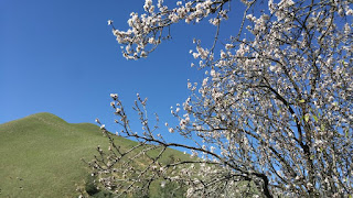 Black Diamond's Rose Hill in distance