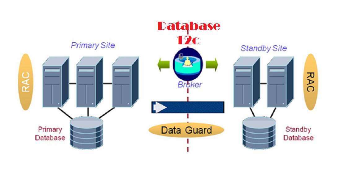 Oracle data Guard broker. Standby БД что это. Oracle Active data Guard что это. Оракл RAC. Db update