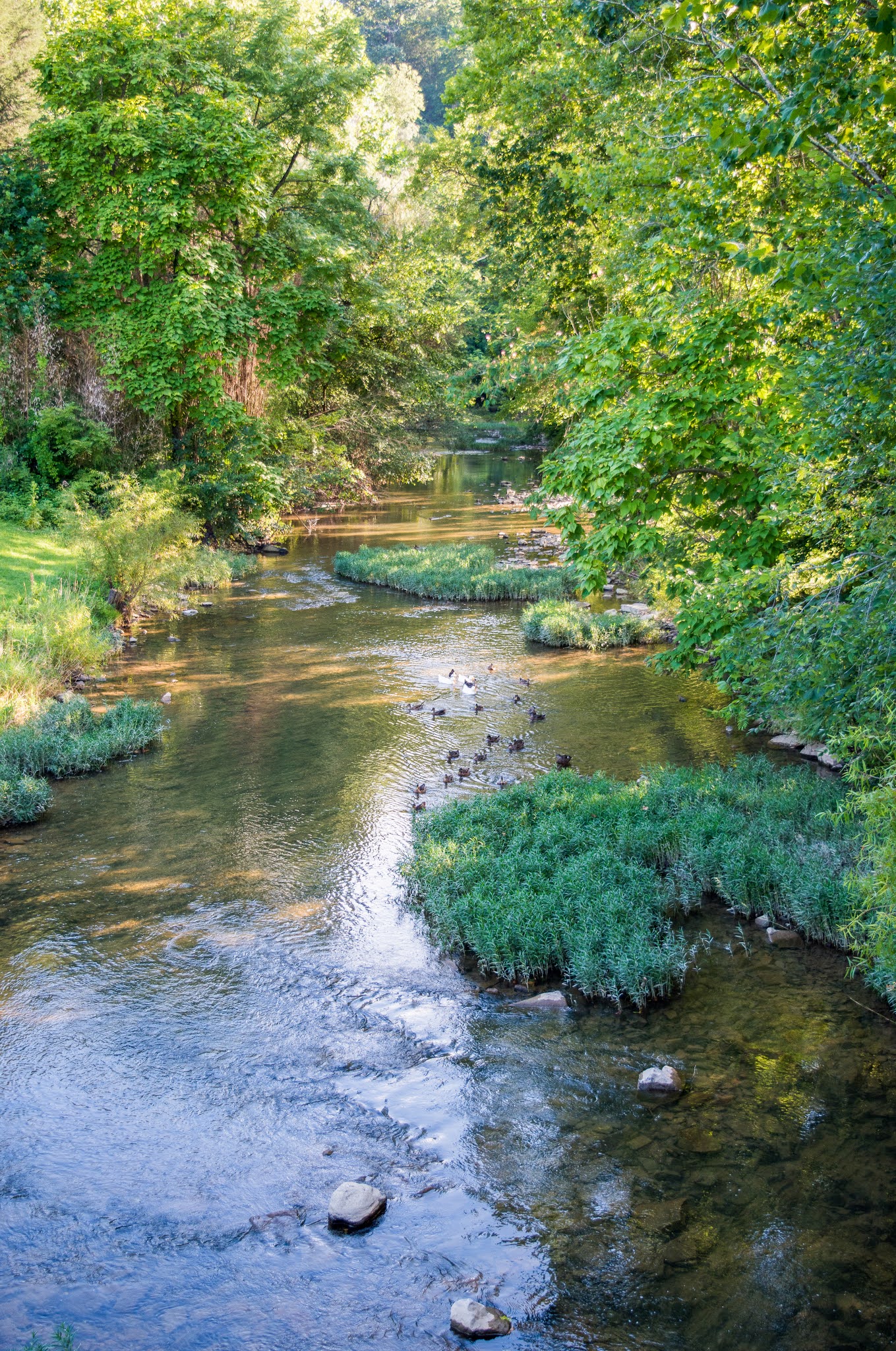 The Big Stone Gap Guide to Help you Celebrate Valentine's Day!