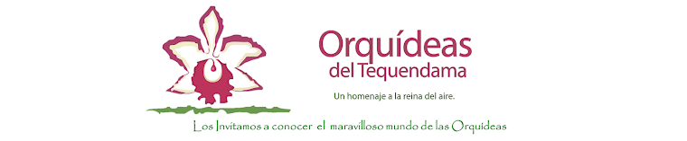 Catalogo Orquideas del Tequendama