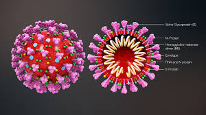 कोरोना वायरस: क्या है कोरोना, कैसे फैलता है यह और कैसे कोरोना वायरस से बचना है