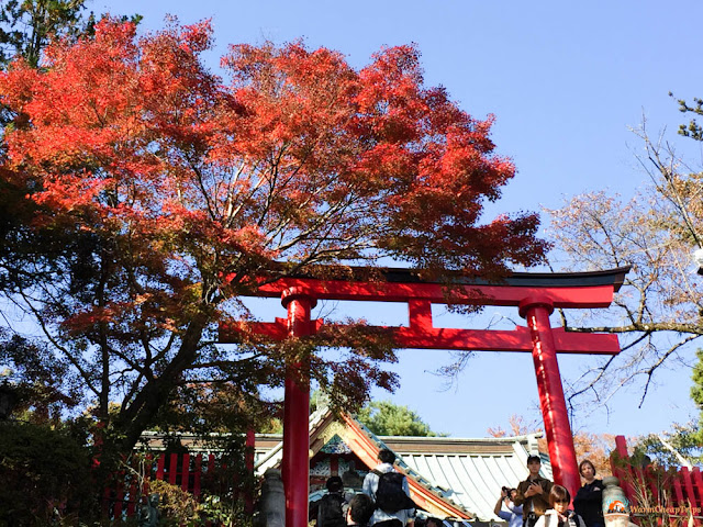 Takaosan, monte takao, escursioni da tokyo, visitare monte takao, cablecar monte takao, momiji, giappone autunno, koyo