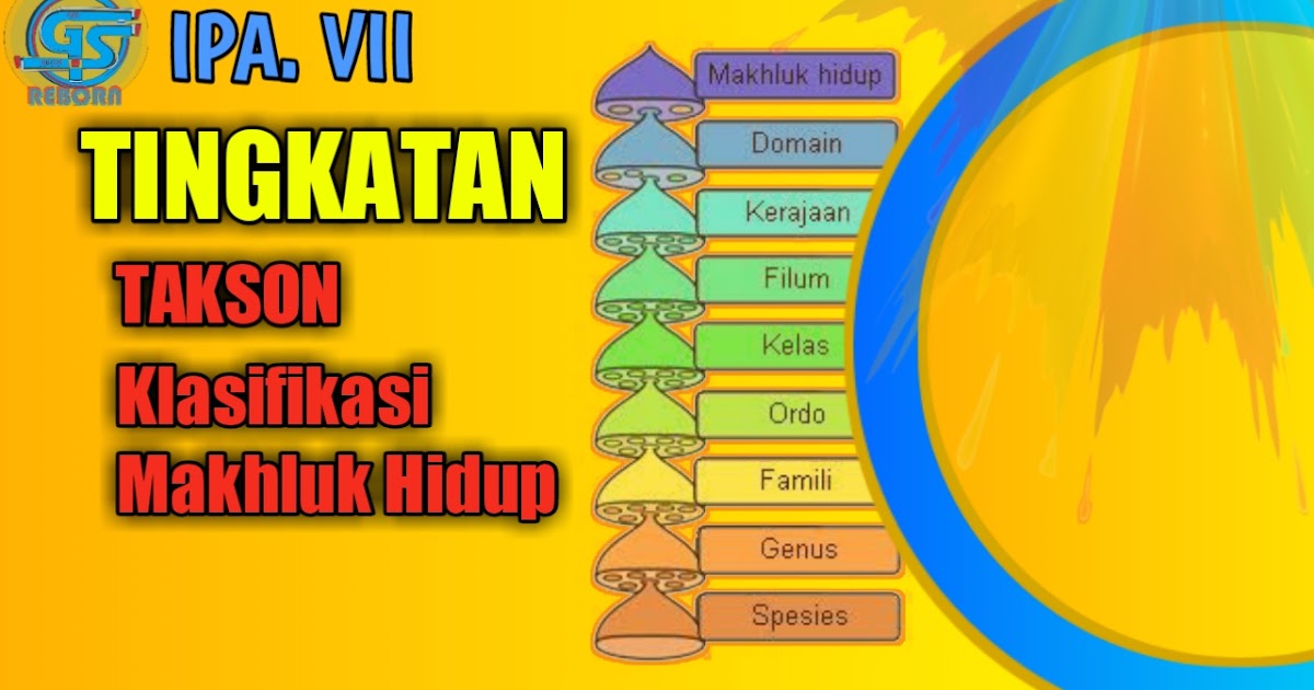 Rujukan Biologi Tentang Tingkatan Takson Klasifikasi Makhluk Hidup Gen Sukses Media