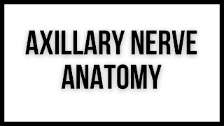 Axillary Nerve Anatomy