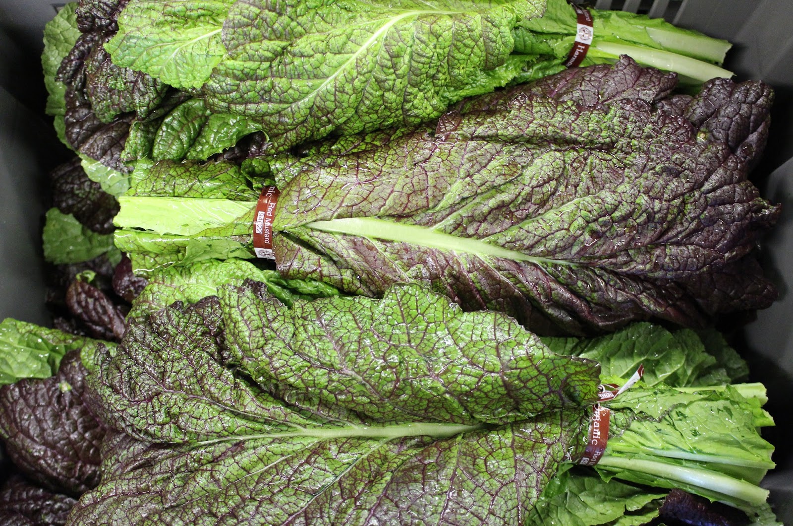 Harmony Valley Farm Vegetable Feature Parsley Root