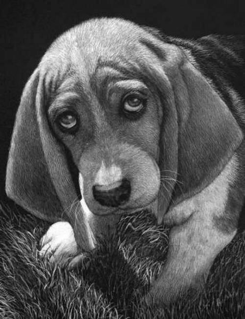 Design Stack A Blog about Art, Design and Architecture Animal