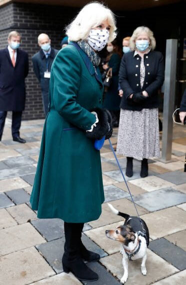 The Duchess of Cornwall is patron of the charity Battersea. Battersea introduced online puppy training classes. The Duchess wore a green wool coat