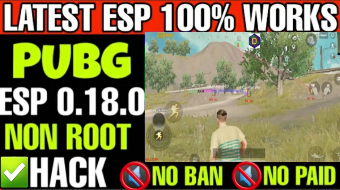 No root esp apk in PUBG Mobile: All you need to know