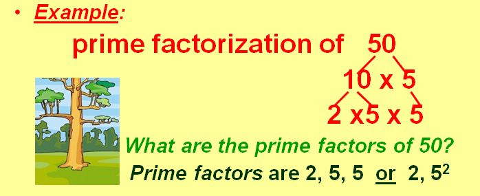 Learning Ideas - Grades K-8: Prime Factorization and Factor Trees Slide