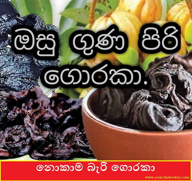 නොකාම බැරි ගොරකා (Goraka - Garcinia Gummigutta) - Your Choice Way