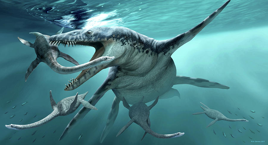 My Prehistoric Saga: Size Calculations for Pliosaurs: