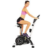 Trbitty Upright Exercise Bike, with 8 magnetic resistance levels, 330 lb user weight capacity