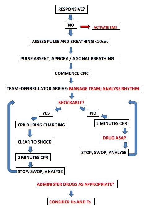 Mediced Makes It Simple Management Of The Patient In Cardiac Arrest
