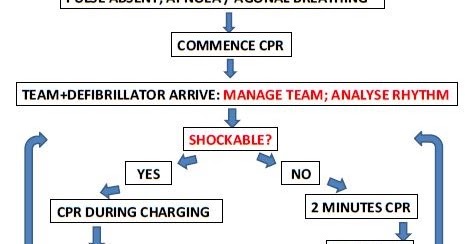 Mediced Makes It Simple Management Of The Patient In Cardiac Arrest