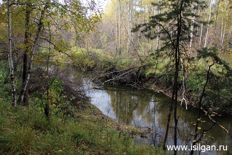 Река чусовая полевской