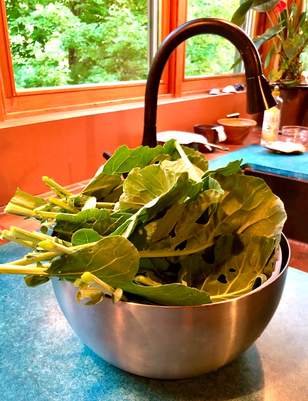 Why aren't the collards bolting?