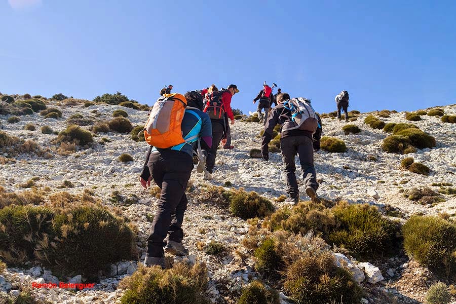 BICHOS Y MAS VLC UN PASEO POR LA SIERRA DE LA SERRELLA O EL PIRINEO