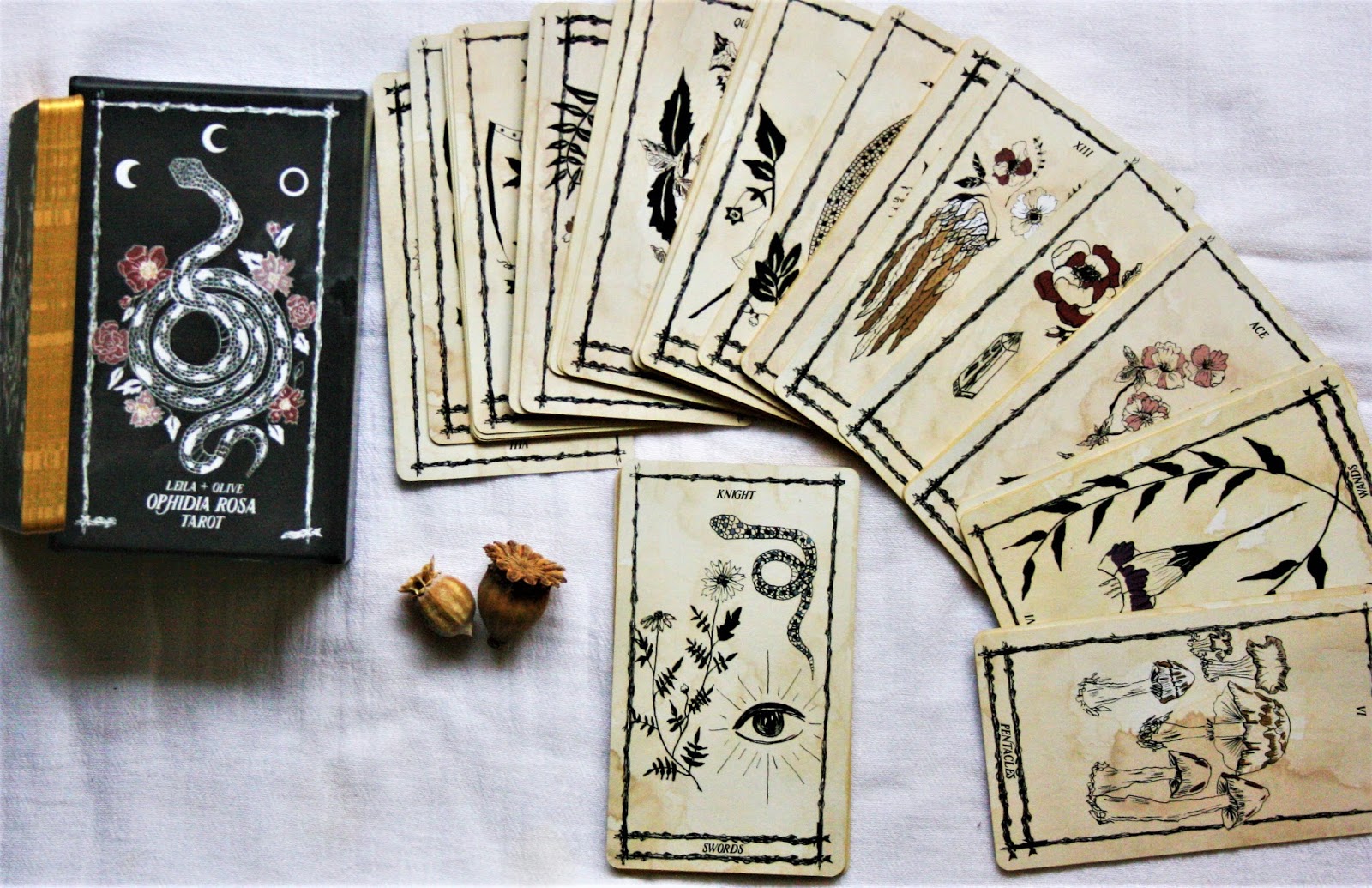 The Sacred Rose Tarot Review - An 80's Tarot Deck That I Love - Pretty Core