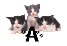 Alfabeto animado con tres gatitos.