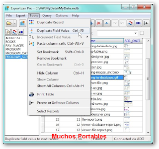  Exportizer Pro Portable