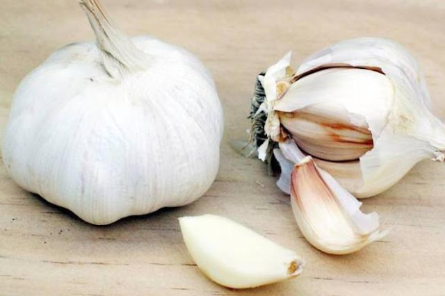 فوائد الثوم على الأسنان فوائد الثوم على الأسنان