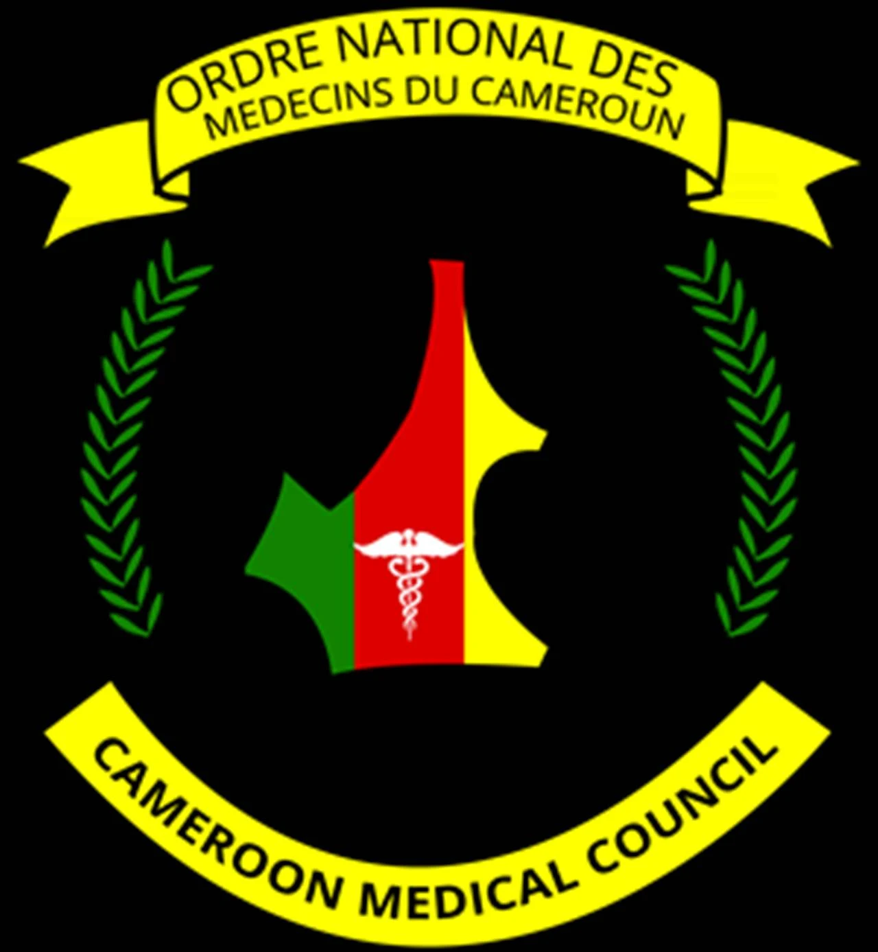 Cameroon Medical Council (ONMC) Demands Better Working Conditions for Doctors