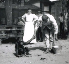 HISTORIAS ZOOLOGICAS EMILIA EXPLORADORA DEL AMAZONAS