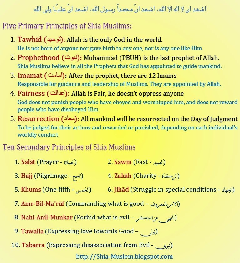 Shia Muslim Shia Beliefs
