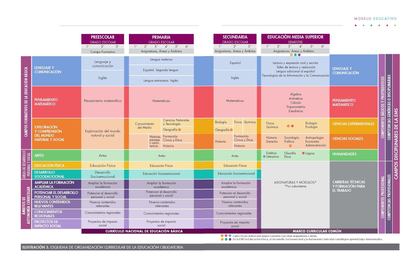 Conoce nuevo esquema de organización curricular de educación obligatoria  del Modelo Educativo