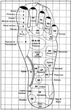 Acupressure Points Leg Chart
