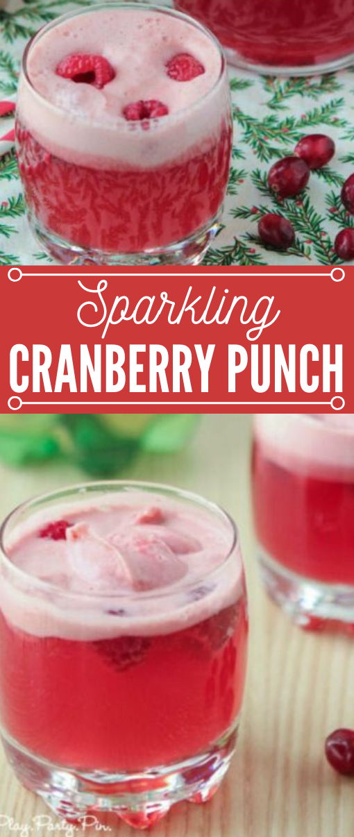 CRANBERRY RASPBERRY HOLIDAY PUNCH #drink #raspberry #punch #summer #smoothie CRANBERRY RASPBERRY HOLIDAY PUNCH #drink #raspberry #punch #summer #smoothie