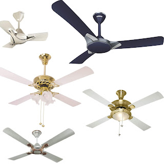 Top 10 Best Ceiling Fans In India 2020 Peppy Rabbit Deals Best Products For You,How To Make Fried Plantains Cuban Style