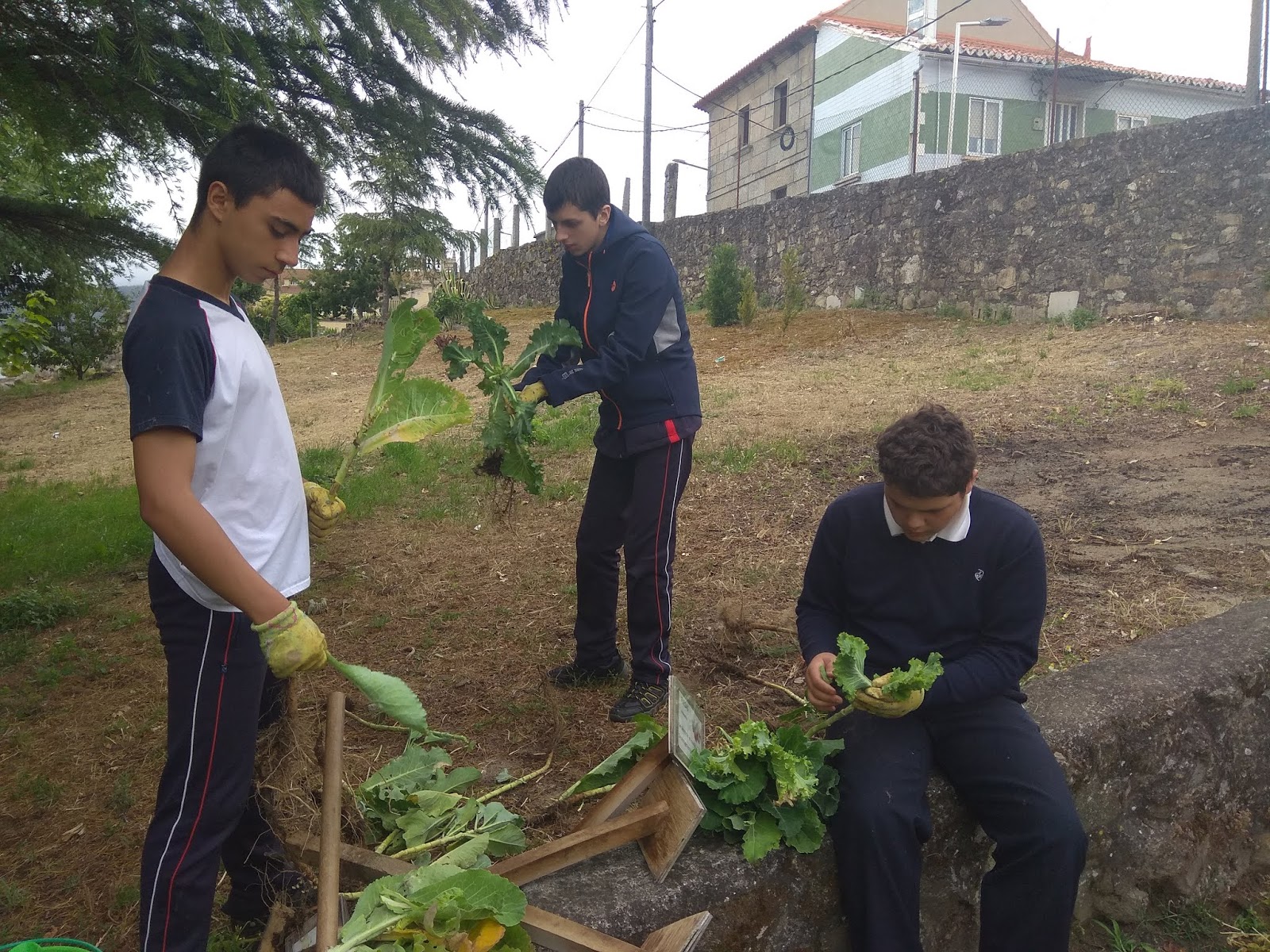 Huerto de Educación Especial