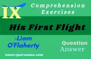 His First Flight by Liam O'Flaherty