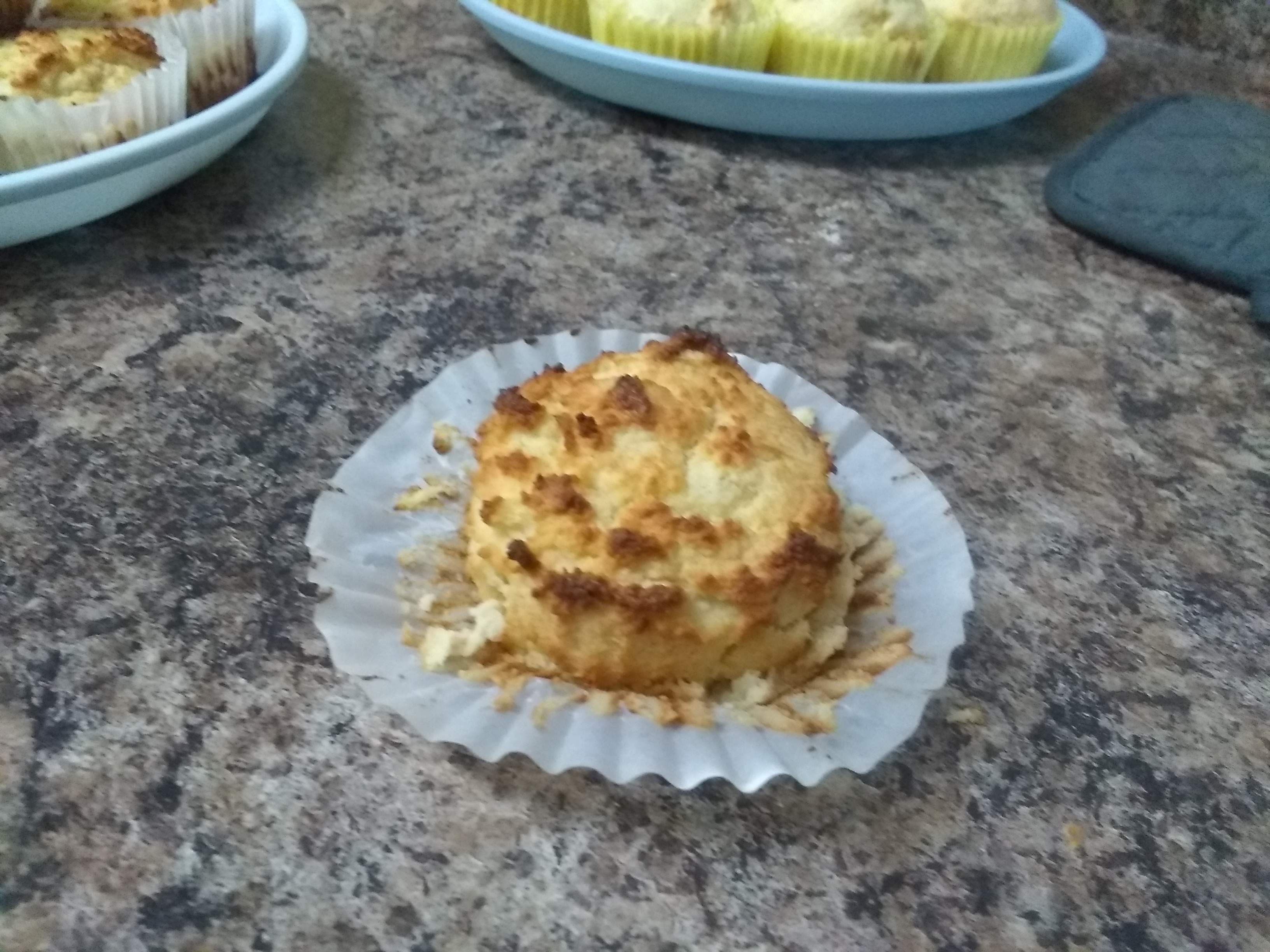 Diabetic Friendly Muffins!