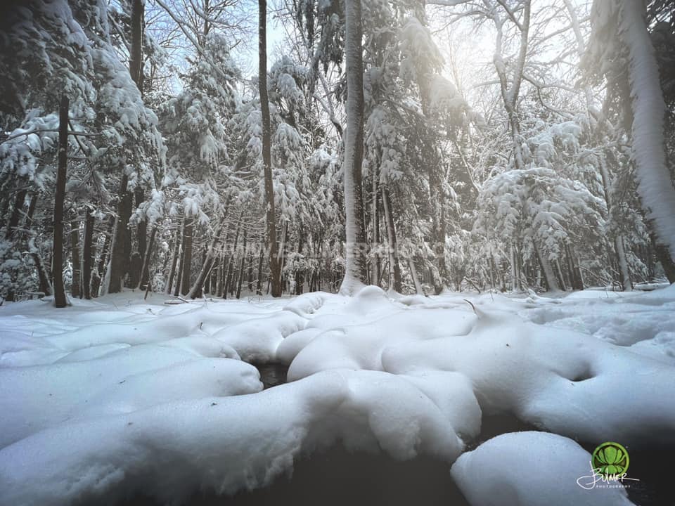 John Bulmer Professional Photographer Saratoga, New York 1.866
