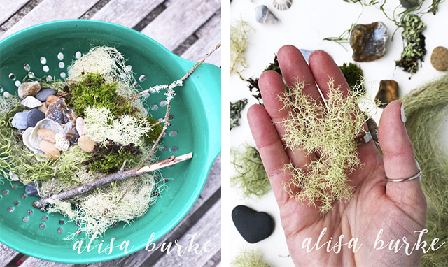 inspired by moss and lichen