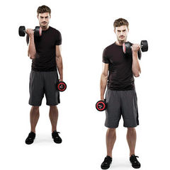 Seated alternating Dumbbell Curl
