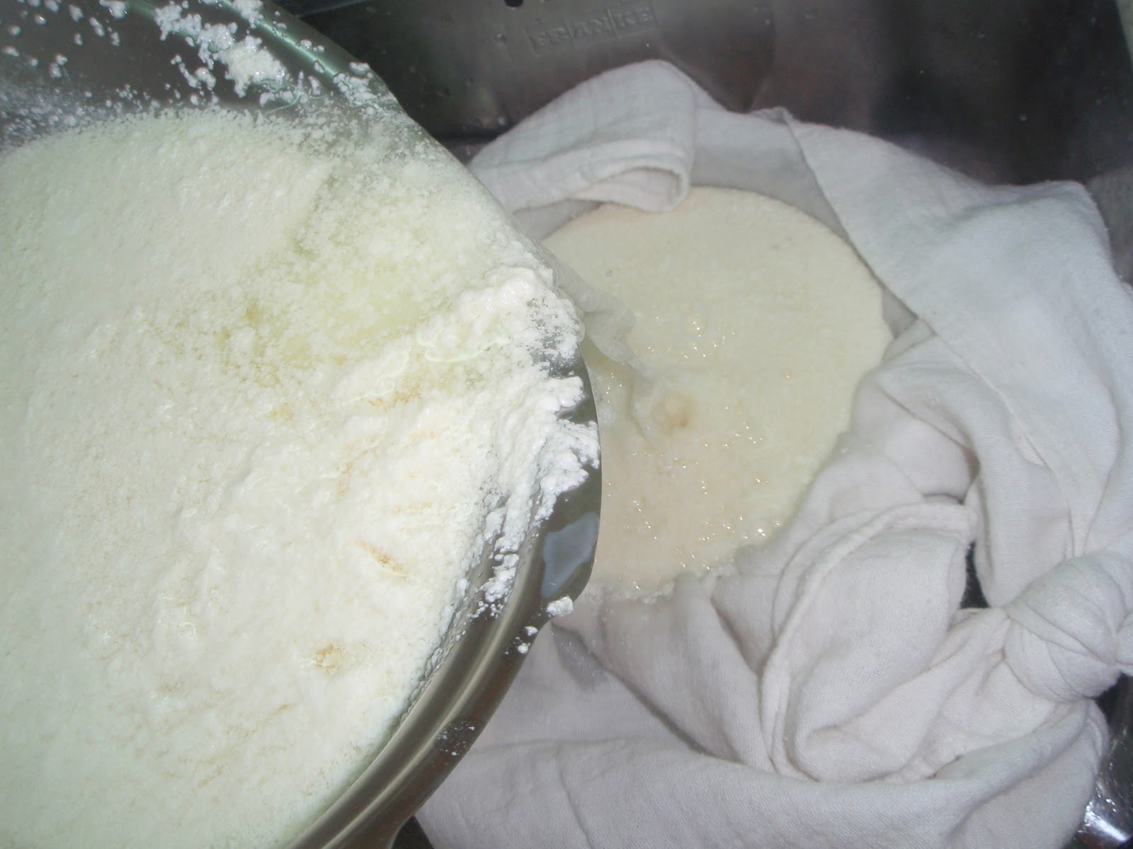 El recetario de Falina Panir Queso fresco casero