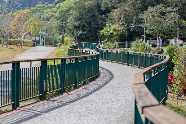 南投日月潭向山落羽松，湖光山色搭配自行車道和雙心花園美不勝收