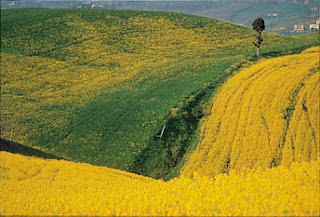Curso de cerâmica na Toscana colline toscana - Curso de cerâmica na Toscana