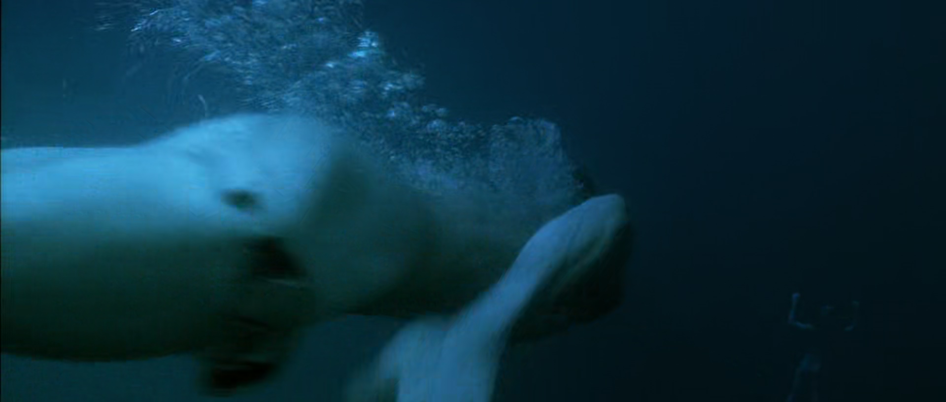 Photos Open Water nude 2: Adrift